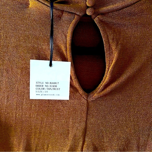 True Decadence | NWT | Rust Dress | Mock Neck | Size 10 Tall - Picture 3 of 7